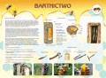 bartnictwo.jpg