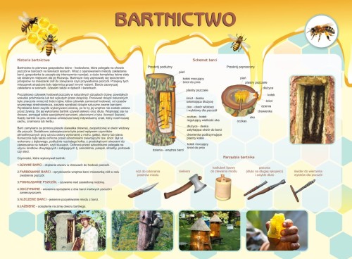 bartnictwo.jpg