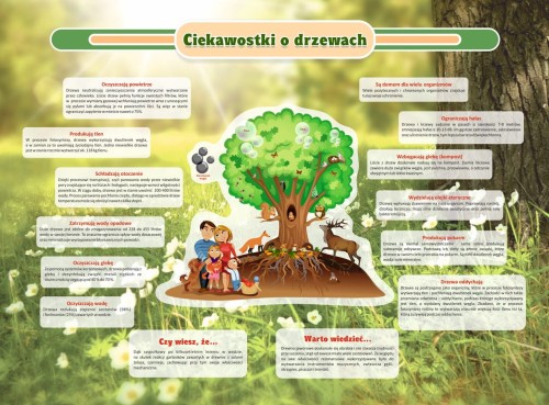 ciekawostki o drzewach.jpg