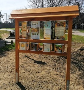 Gra edukacyjna kostki + płytki