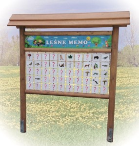 Gra edukacyjna memo 50