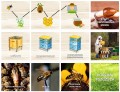 światowid pszczelarswto .jpg