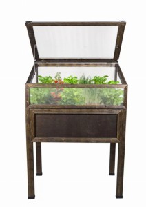 Mini szklarnia 80x45 cm